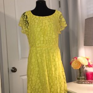 dressbarn Yellow Lace Dress